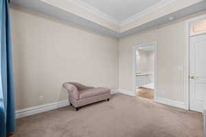 Sitting room featuring carpet and ornamental molding