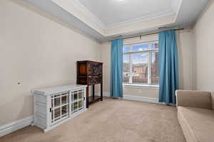 Sitting room featuring a tray ceiling, light colored carpet, and ornamental molding