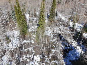View of snow covered land