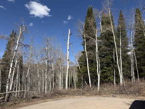 View of undeveloped land
