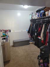 Walk in closet with light colored carpet