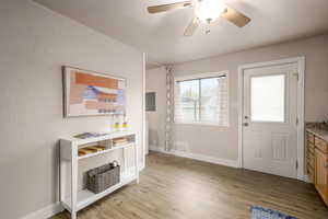 Entryway featuring a ceiling fan, light wood-style flooring, and electric panel