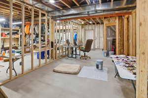 View of unfinished basement