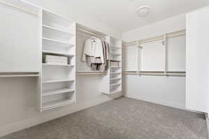Walk in closet featuring light colored carpet