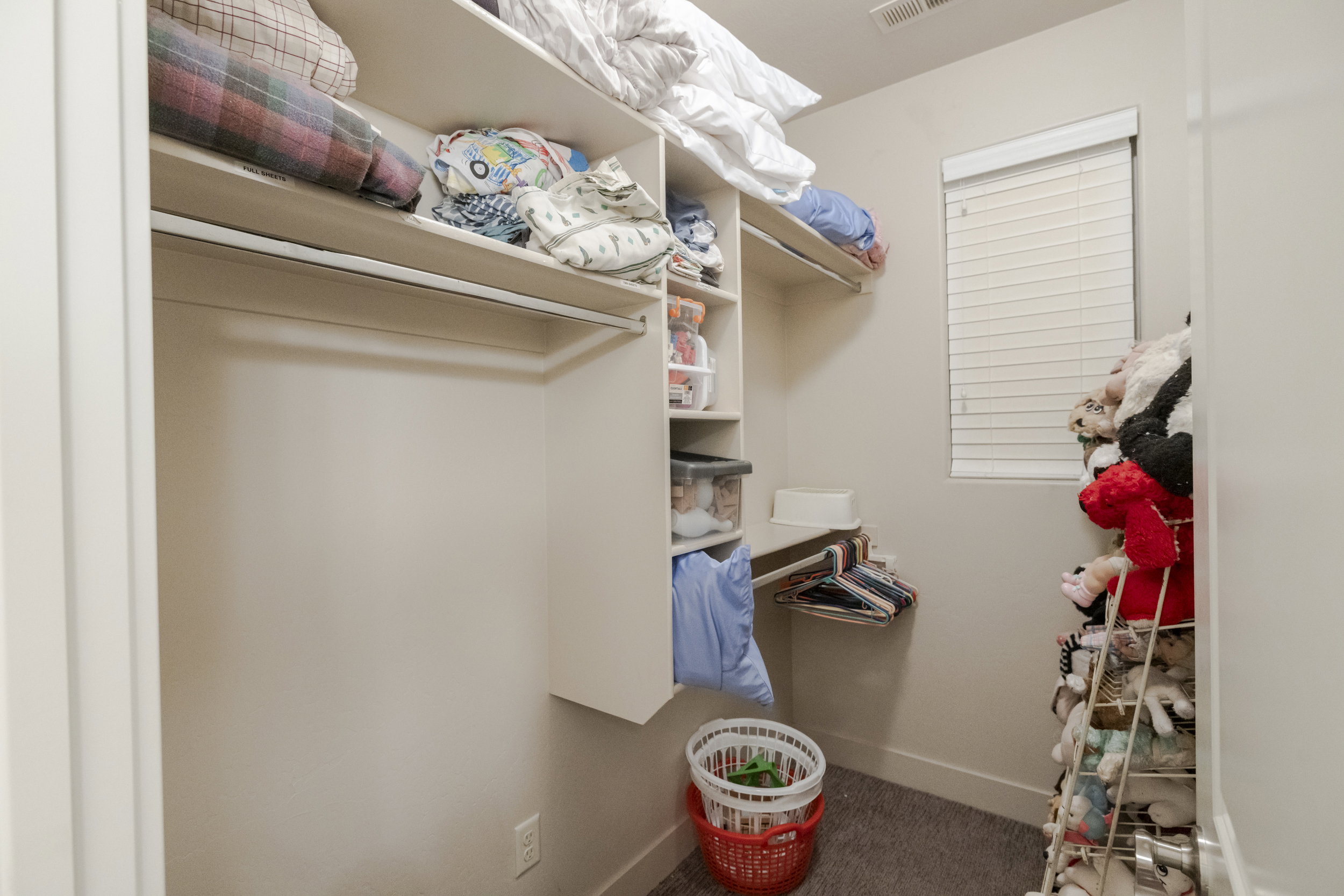 Walk in closet with carpet flooring