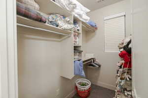 Walk in closet with carpet flooring