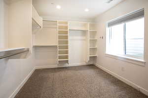Walk in closet featuring dark carpet