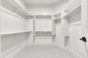 Walk in closet featuring carpet