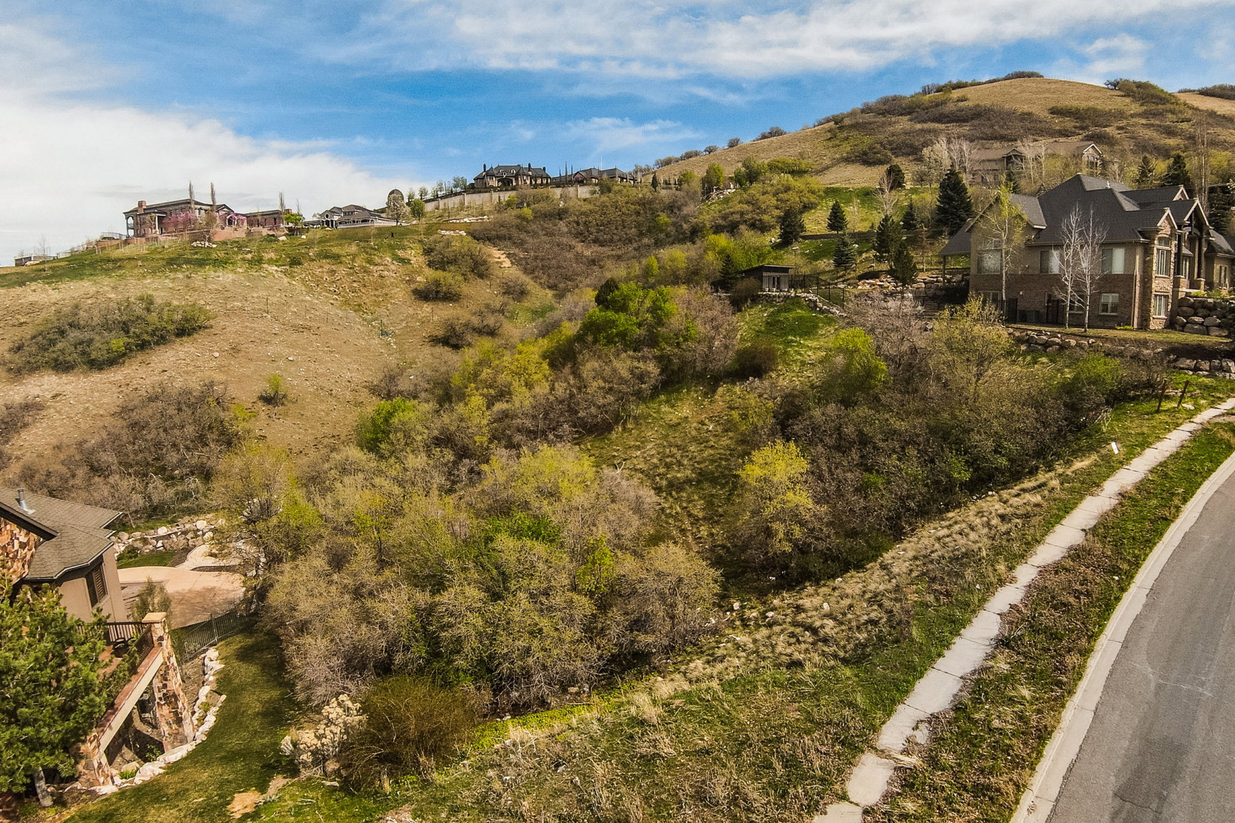 View of mountain background