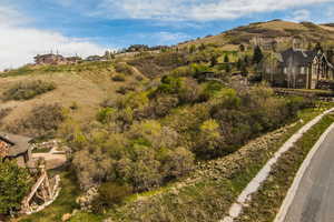 View of mountain background