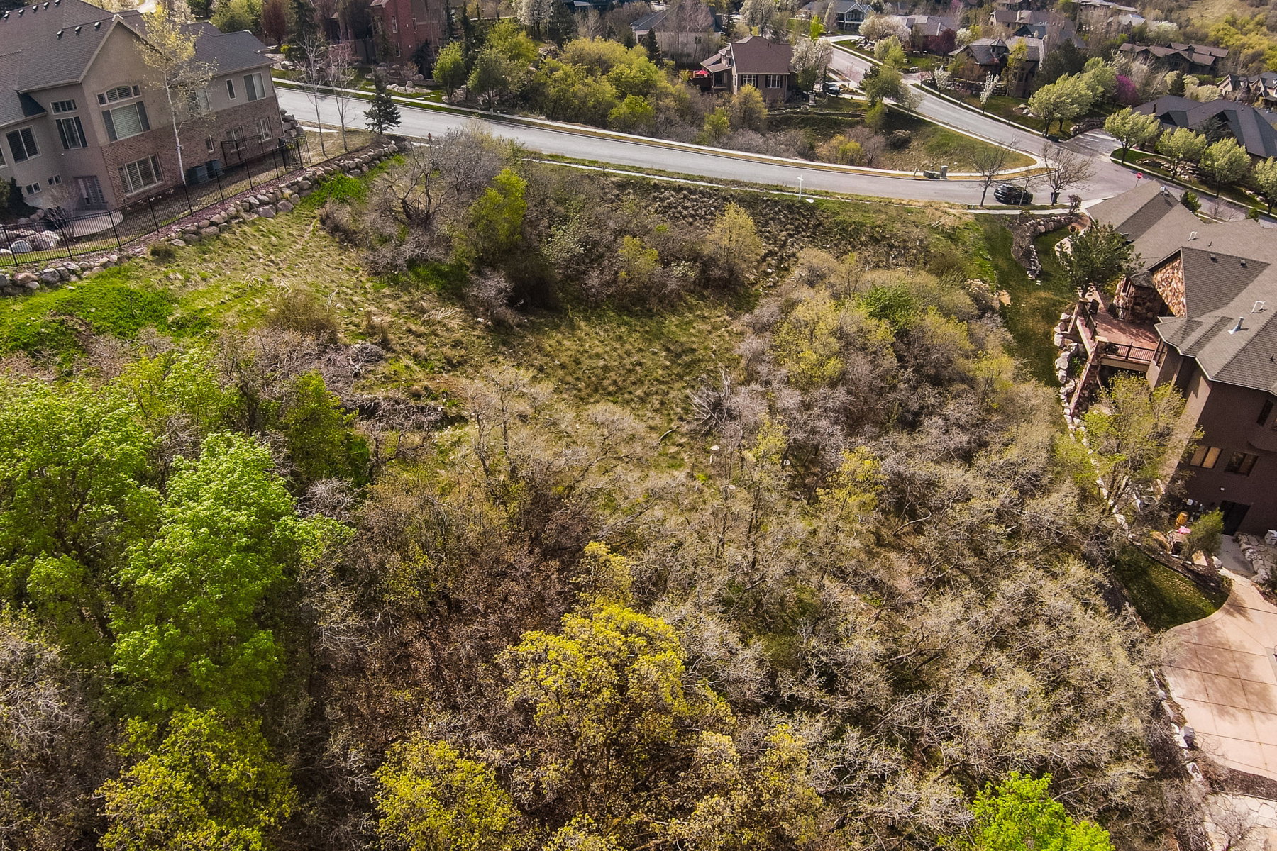 Aerial view of residential area