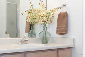 Detailed view of vanity and a shower stall