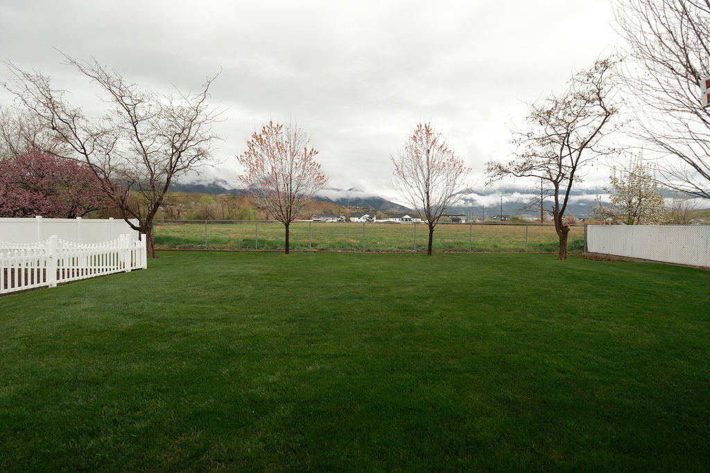 Expansive green lawn with a white picket fence border
