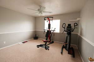 Carpeted room with a ceiling fan, window, and two-tone painted walls featuring a chair rail