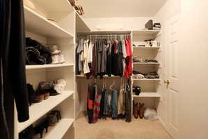 Walk-in closet featuring built-in shelving, multiple hanging rods, corner shelving units, and neutral carpeting