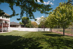 Expansive rear yard featuring a manicured lawn, a white privacy fence, and mature trees