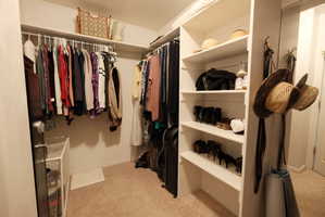 Walk-in closet featuring built-in shelving, hanging rods, and light-colored carpet