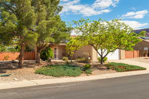 Obstructed view of property featuring driveway, stucco siding, and a garage
