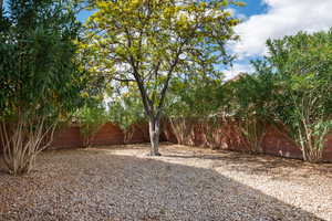 View of fenced backyard