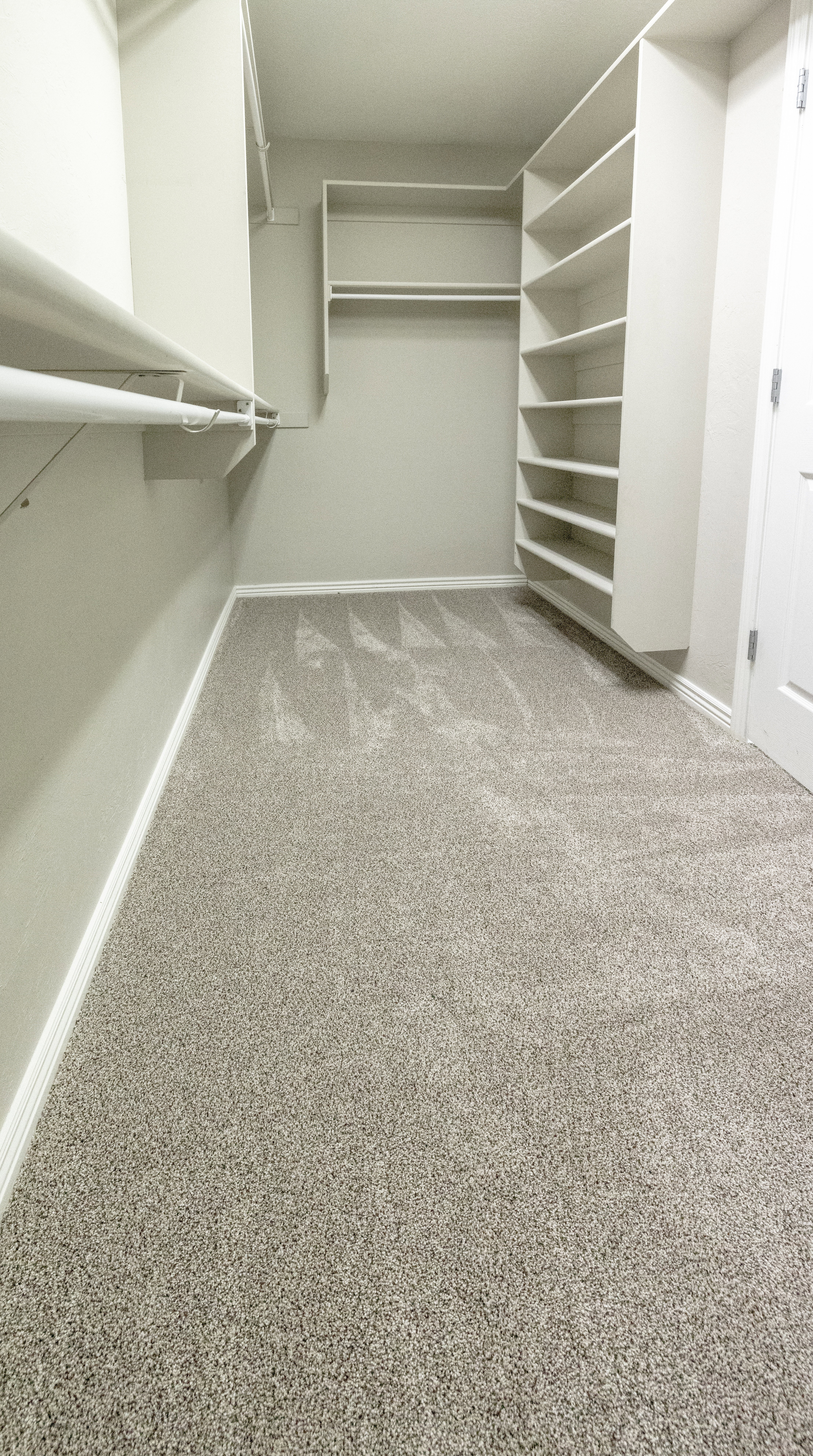 Primary walk-in closet featuring light colored carpet photo #1