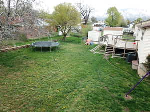 View of green lawn with a trampoline, a deck, and a storage unit