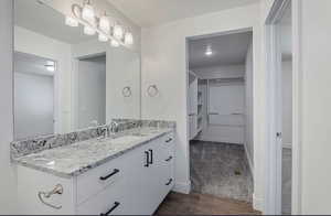 Bathroom featuring vanity, a spacious closet, dark wood finished floors, and dark colored carpet