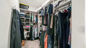 Walk in closet with light carpet