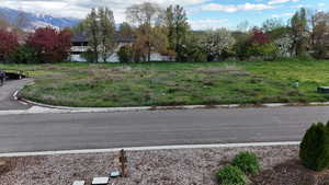 View of asphalt street with curbs