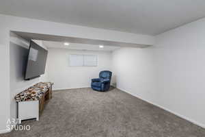 Living area featuring baseboards and carpet floors