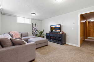 Living room featuring carpet floors and a textured ceiling