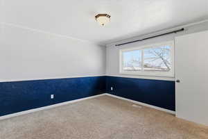 Empty room featuring carpet floors, a textured ceiling, and crown molding