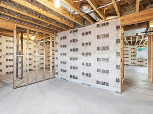 View of unfinished basement