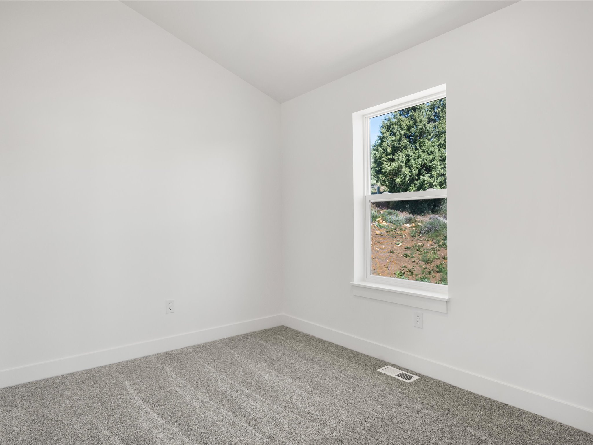 Bright interior space featuring a double-hung window, white trim, neutral carpet, and white baseboards