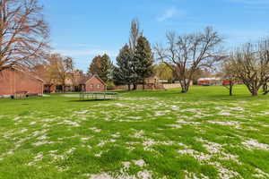 View of grassy yard with a trampoline