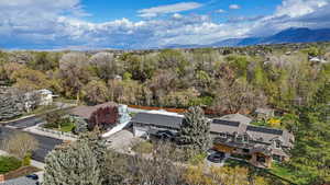 Aerial view of a mountainous background