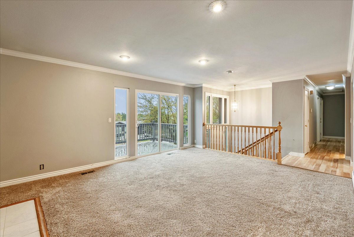 Unfurnished room with light carpet and ornamental molding