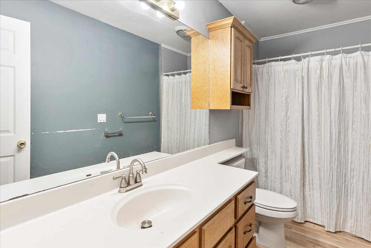 Bathroom featuring vanity, light wood-style flooring, and a shower with curtain
