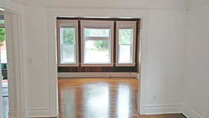 Spare room with wood finished floors and healthy amount of natural light