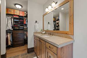 Tree bedroom bathroom featuring a spacious closet and vanity