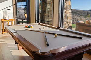 Playroom with billiards