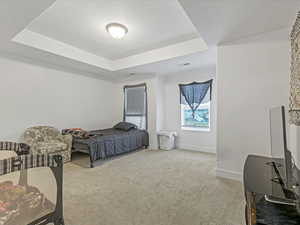 Bedroom with a raised ceiling and light colored carpet