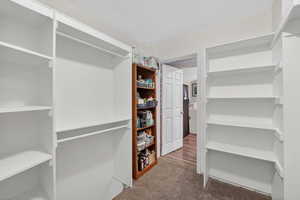 Walk in closet featuring dark colored carpet