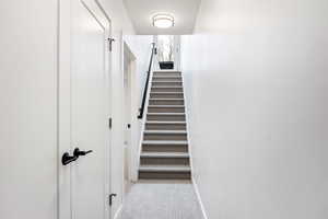 Staircase featuring carpet flooring
