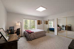 Bedroom with multiple closets, carpet, and a desk