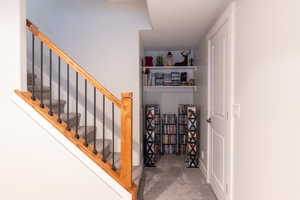 Staircase featuring carpet floors