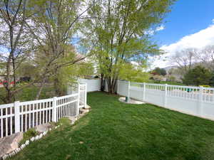 View of fenced backyard