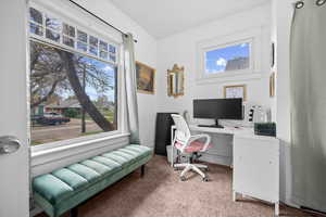 Office area with light carpet