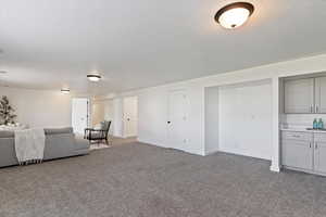 Living area with dark colored carpet and baseboards