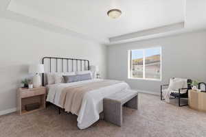 Bedroom featuring a tray ceiling and carpet