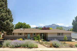 Front view the house